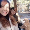 체인지펫샵 이미지