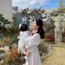 하이든파크 | 김해 율하 하이든파크 소규모 돌잔치 후기 (feat. 돌상 파티더타임 블라썸❤️)