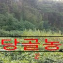 서당골농장 이미지