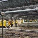 라이온스 이미지