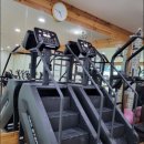 팀에이 휘트니스 이미지