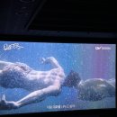영화 퀴어 관람 후기 콜 미 바이 유어 네임을 상상하지 말라