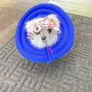 영월민박 서강1803 이미지