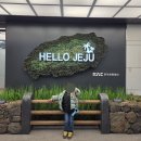 ㈜제주명품렌트카 | 2월 제주 당일치기 여행 - 가성비 좋고 친절했던 제주 명품렌트카 후기