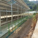 대가야 태양광발전소 이미지