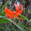 쌍곡폭포펜션 이미지