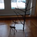 엘크사슴 이미지