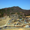 물버들마을 이미지