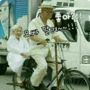 참만족