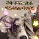 오렌지 커머스 이미지