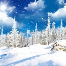 오비생맥주(OB생맥주) 이미지