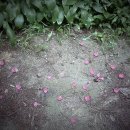 서리풀공원1-2 이미지