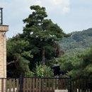 별똥별펜션 | 경기도 안성 가족펜션 알로히든풀빌라-키즈펜션, 수영장 후기