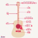 통기타 이미지
