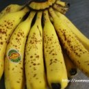 여름철 변비예방을 위한 바나나쉐이크 만드는 법 이미지