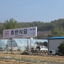 호반식당 | 제천 의림지 맛집 허영만 백반기행 호반식당 내돈내산 후기