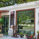 대둔산로 이미지