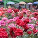 법원읍 행정복지센터 이미지