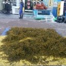 믿음건강원 이미지