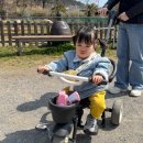 한우드림제2농장 | 여수 돌산 아이랑 가볼 만한 곳 '한우드림 동물체험장' 테마농장 먹이주기 체험