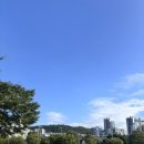 마포-현장-마포-1609 이미지