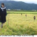 허수아비 이미지