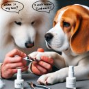 카멜리아 이미지