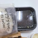 포메인암사역점 | 포메인에서 쌀국수 짜조 시켜 먹었어요