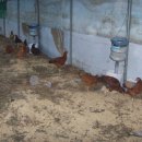 두루농장 이미지