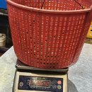 (주) 크레이지피쉬 이미지