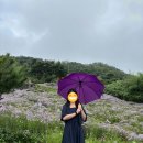 비채35 | 경북 경주 모녀 여행 2박 3일 맛쟁이 코스 추천