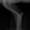 도담메디컬 이미지