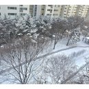길 #6624 이미지