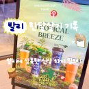 꾸따 | 발리 신상 핫플 차지 밀크티 CHAGEE 꾸따 매장 후기