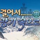 몽당케이크