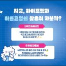 스윗드림 펫 | 성수 EQL 라이프펫 팝업스토어(네이버 예약링크), 펫 MBTI 외