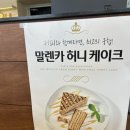 라운디(Roundy) 이미지