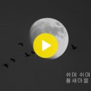 기러기 달밤 - 양정현 소리꾼 (홍윤표 시,한성훈 곡) 이미지