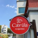 해운탕 | 프라이빗 수영장에서 놀기 좋은 거제 풀빌라 카이룰라 펜션 방문 후기