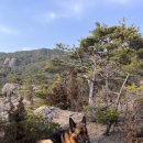 견생낙원 이미지