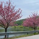 개심사공중화장실화장실 | 당일치기 국내여행 겹벚꽃 명소 서산 가볼 만한 곳 개심사 super 이끌림