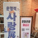 황순원문학관 | 양평 아이랑 가볼만한곳 황순원문학관 소나기마을, 미디어아트부터 인공소나기 즐기기