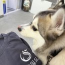 ICHEON02 네이버블로그
