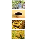 구로구립온누리도서관 이미지