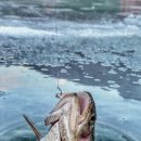 설악낚시터 이미지