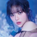 정연초등학교 이미지