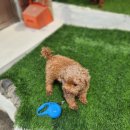 학산3리 이미지