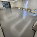 위드왈왈 이미지