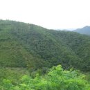 도 경계 도화동산 이미지