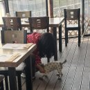 이동갈비 | 포천 | 포천 이동갈비맛집 원조이동산장갈비 후기